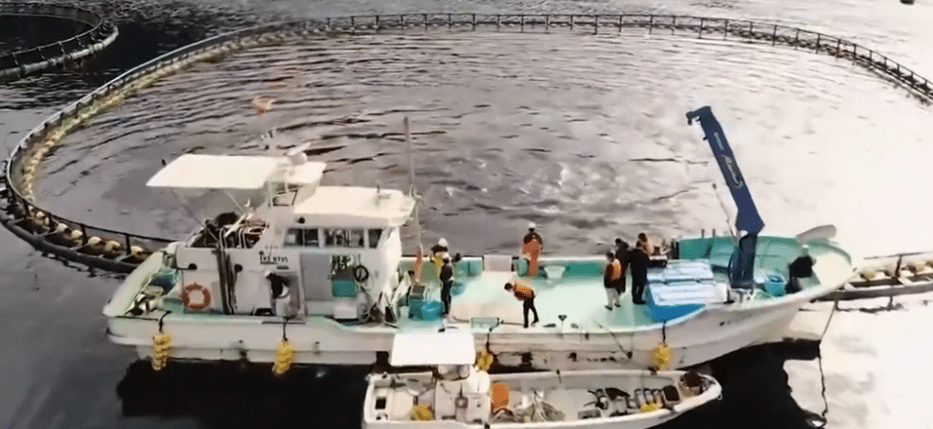 Bassin d'aquaculture