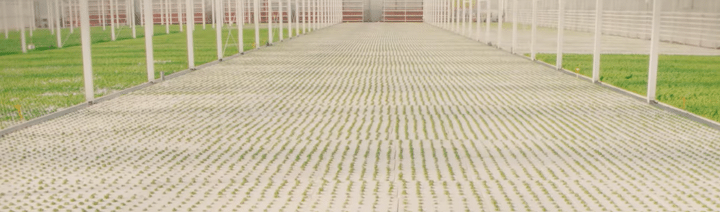 radeaux flottant dwc commercial illustration de système à radeau flottant