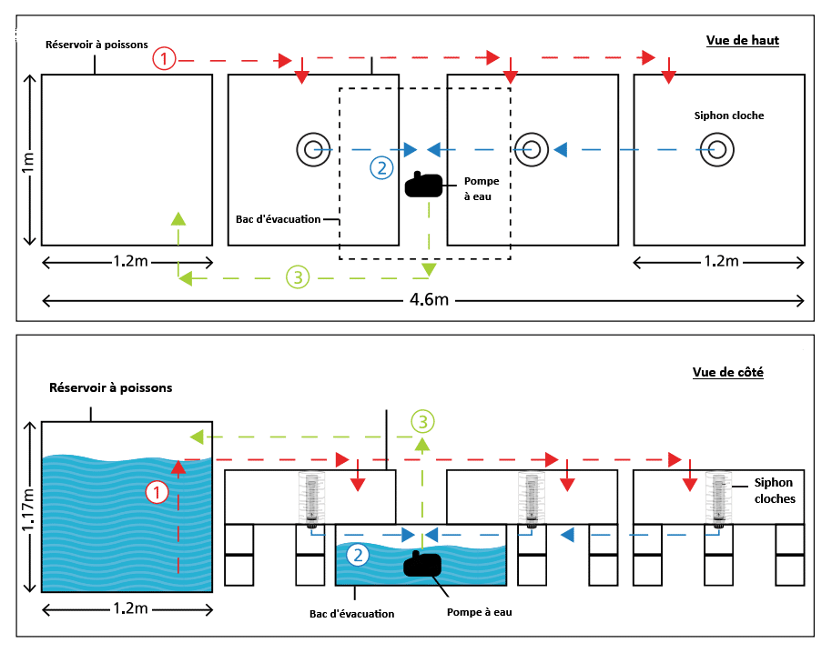 Schéma de circulation de l'eau dans le système à lit de culture